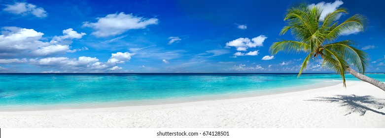 tropischer Paradiesstrand mit weißem Sand und Kokospalmen Tourismus breites Panorama-Hintergrund-Konzept