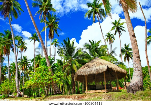 Tropical Paradise Deserted Palm Beach Hut Stock Photo Edit Now