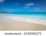 Tropical paradise: idyllic caribbean beach with single palm tree, Montego Bay, Jamaica