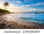 Tropical paradise: idyllic caribbean beach with single palm tree, Montego Bay, Jamaica
