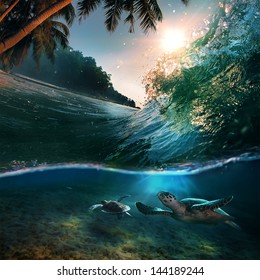 Tropical paradise template with sunlight. Ocean surfing wave breaking and two big green turtles diving underwater