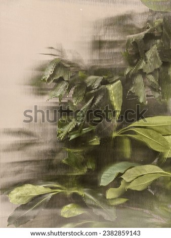 tropical plants trees behind the frosted glass in the fog with back lighting. decoration of green plants premises, background. the natural exotic design.