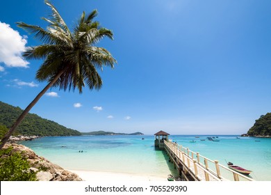 Tropical Postcard | Pulau Perhentian

The beautiful island of Pulan Perhentian with its turquoise water and white sand beaches offers amazing snorkelling for tourists.