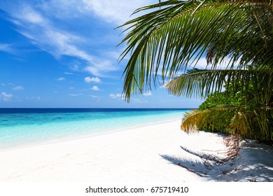 Tropical Pristine Beach Coconut Palms Turquoise Stock Photo 675719410 ...