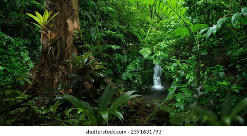 Tropical rain forest with cascade