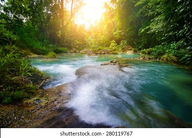 Tropical Rain Forest With Green Trees, Bushes And River.