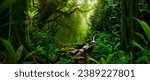 Tropical rain forest with river