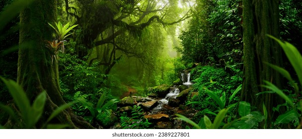 Tropical rain forest with river - Powered by Shutterstock