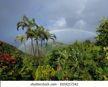 Tropical Rainbow - Caribbean - Shutterstock ID 1024217242