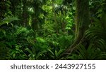 Tropical rainforest with big tree