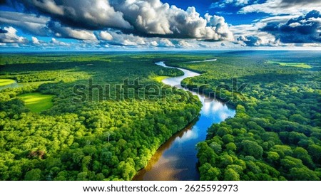 Tropical Rainforest with Dramatic Sky Backdrop
