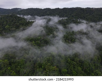 Tropical Rainforest Landscape On A Cloudy Day In West Papua, Indonesia