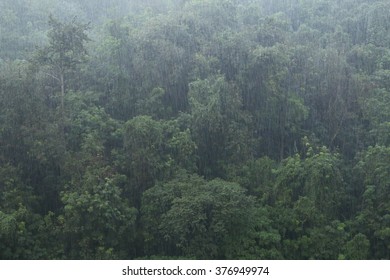 20,750 Misty jungle Images, Stock Photos & Vectors | Shutterstock