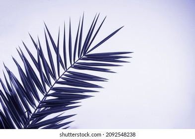 Tropical real leaf of palm tree on light background, Very Peri coloring in trend color of the year 2022 for fashion, home, interiors design, stock illustration clip art background - Shutterstock ID 2092548238