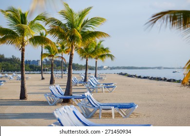 Tropical resort with chaise longs arranged in a row near palms on sandy beach, Key West, Florida, USA