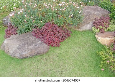 Tropical Rock Garden By A Lawn With Big Feature Boulders And Flowerbeds In Bloom. Grass At The Bottom Of Frame Provides Copy Space.