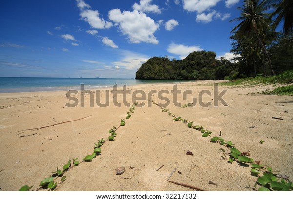 Tropical Sandy Beaches Koh Tarutao National Stock Photo Edit Now