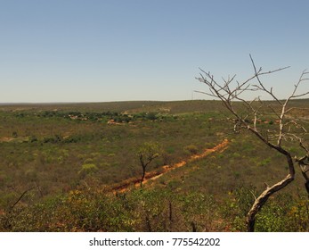 Tropical Savanna Ecoregion Cerrado