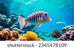 Tropical sea underwater fishes on coral reef. Aquarium oceanarium wildlife colorful marine panorama landscape nature snorkeling diving