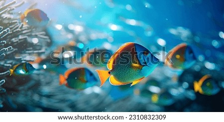 Tropical sea underwater fishes on coral reef. Aquarium oceanarium wildlife colorful marine panorama landscape nature snorkeling diving