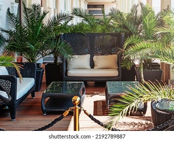 Tropical seating area with wicker sofas. Luxury seating area. Relaxation area with green palm trees and wicker chairs and tables