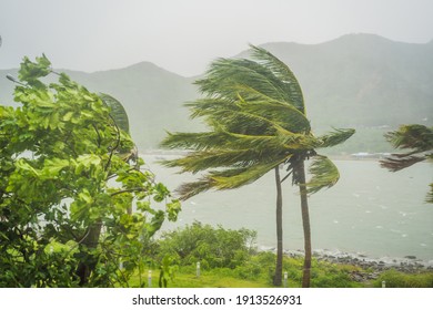 Tempete De Vent Images Photos Et Images Vectorielles De Stock Shutterstock