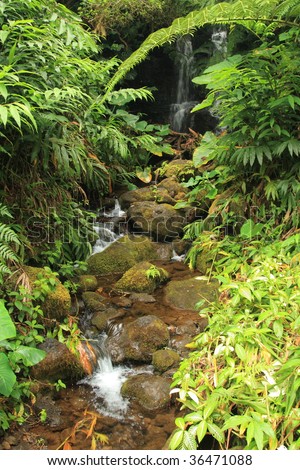 tropical stream with waterfall