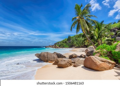 Tropical Sunny beach and coconut palms on Seychelles. Summer vacation and tropical beach concept.  