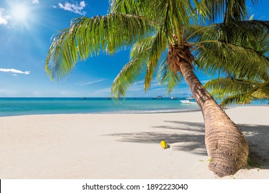 Tropical Sunny beach and coconut palms on white sand in Seychelles. Summer vacation and tropical beach concept.  