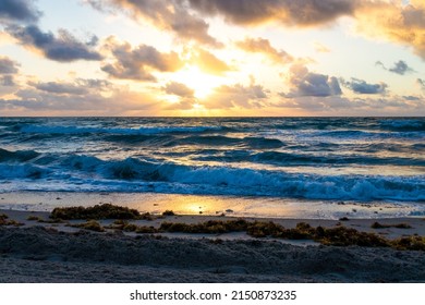 Tropical Sunrise In Hollywood Florida Beach