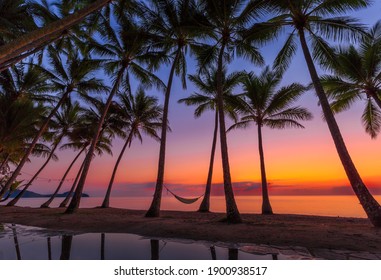 Tropical Sunrise Over Palm Cove