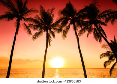 夕陽ハワイ の画像 写真素材 ベクター画像 Shutterstock