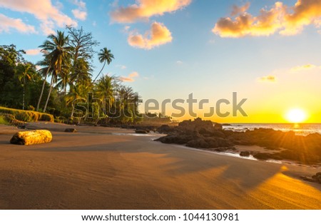 Tropical sunset along the Pacific Coast of Costa Rica with palm tree silhouettes inside Corcovado National Park in the Osa Peninsula, Central America.