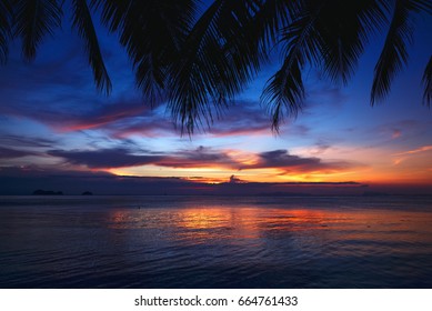Tropical sunset beach with palm tree
