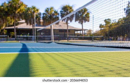 Tropical Tennis Resort Florida Court And Net With Palm Trees On A Sunny Afternoon