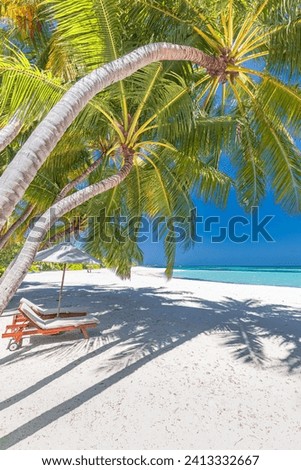 Tropical tourism beach. Summer nature landscape. Freedom romantic chairs palm trees calm sea sand sky relax. Luxury travel resort beautiful destination vacation holiday. Couple beach scenic background