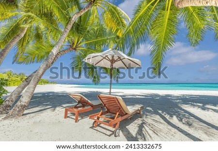 Tropical tourism beach. Summer nature landscape. Freedom romantic chairs palm trees calm sea sand sky relax. Luxury travel resort beautiful destination vacation holiday. Couple beach scenic background
