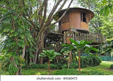 Tropical Tree House