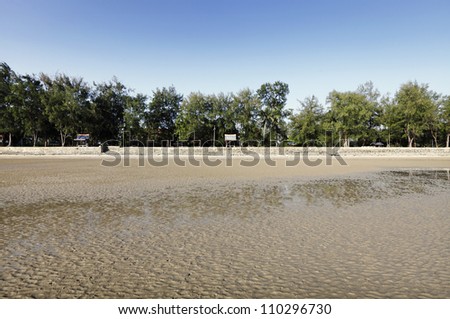 Tropical treeline of a natural park on a beach at low tide in Morib town, Malaysia.