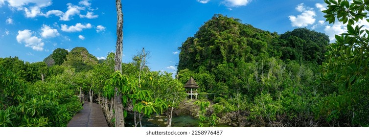Tropical trees and plants in a lush green jungle environment during beautiful sunny days. Exploring the wild natural environment of Thailand's national parks. - Shutterstock ID 2258976487