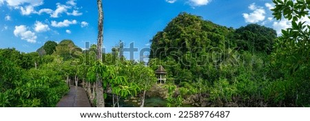 Tropical trees and plants in a lush green jungle environment during beautiful sunny days. Exploring the wild natural environment of Thailand's national parks.