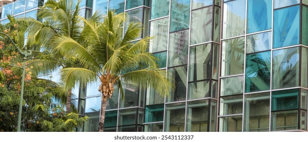 Tropical Trees and Window Reflections.