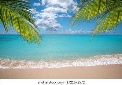 Tropical vacation paradise with white sandy beaches and swaying palm trees.