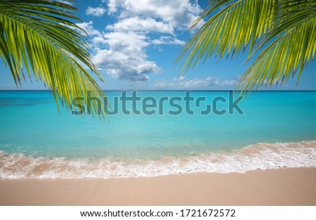 Tropical vacation paradise with white sandy beaches and swaying palm trees.