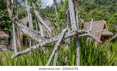 tropical vegetation with intertwined tree trunks and grass, with thatched-roof wooden huts in the background, surrounded by lush greenery. - Powered by Shutterstock