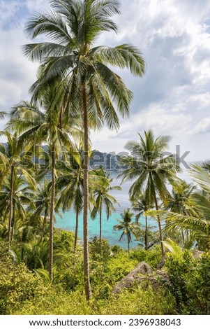 Tropical vertical landscape with palms trees and view on turquoise sea water from the landscaped place in jungle of Koh Tao island in Thailand