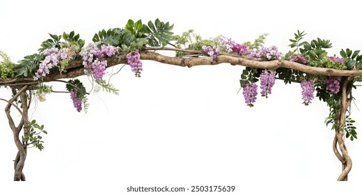 Tropical vibes plant bush floral arrangement with tropical leaves Monstera and fern and Vanda orchids tropical flower decor on tree branch liana vine plant isolated on white background