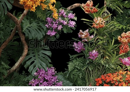 Tropical vibes plant bush floral arrangement nature backdrop with tropical leaves Monstera and ferns and Vanda orchids tropical flower decor on tree branch liana vine plant on black background