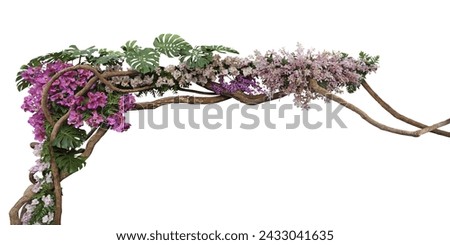 Tropical vibes plant bush floral arrangement with tropical leaves Monstera and fern and various orchids tropical flowers decor on tree branch liana vine plant isolated on white background