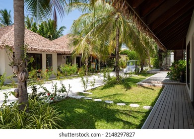 tropical village. palm trees and white sand. 